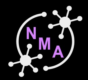 Neuromatch Academy
